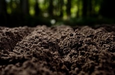 Soil-Powered Sensors