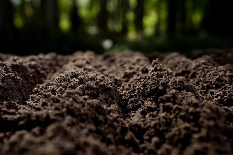 Soil-Powered Sensors