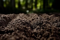 Soil-Powered Sensors