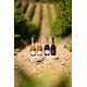 Alcohol-Free Sparkling Wine Estates Image 1
