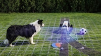 All-in-One Lawn Care Robots Image 5