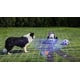 All-in-One Lawn Care Robots Image 5