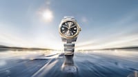 Exquisitely Intricate Watch Collections Image 3