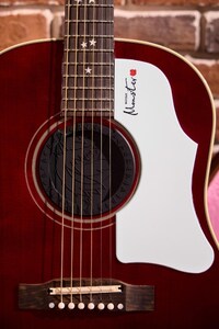 Mandopop Guitar Ambassadors Image 5