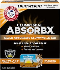 Comprehensive Cat Litter Lineups Image 4