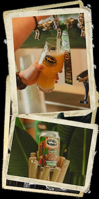 Collaborative Coconut Hazy IPAs Image 3