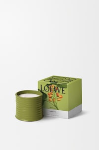 Nutty Gourmand Candles Image 2