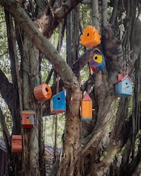 Birdhouse Design Projects