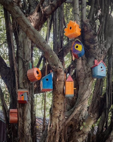 Birdhouse Design Projects