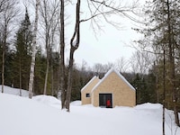 Forest Courtyard Homes