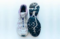 Dessert Trail Sneakers Image 1