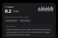 AI Musculoskeletal Coaches