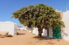 Slow-Travel Beach Destinations