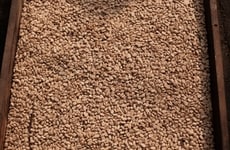 Precision Coffee Farming