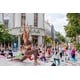 Comprehensive Wellness&nbsp;Festivals Image 1