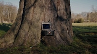 AI-Enabled Nature Experiences Image 2