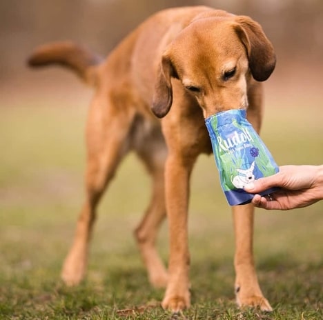 Algae-Based Canine Snack Packs