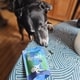 Vegan Omega-3 Dog Supplements Image 2