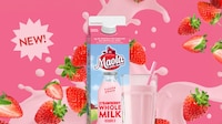 Nostalgic Fruit-Flavored Milks Image 1