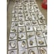 Hybrid Shellfish Seed Programs Image 2