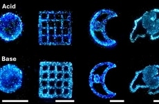 Bioluminescent Living Materials