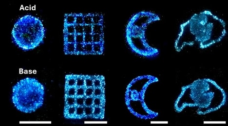 Bioluminescent Living Materials