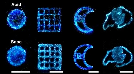 Bioluminescent Living Materials