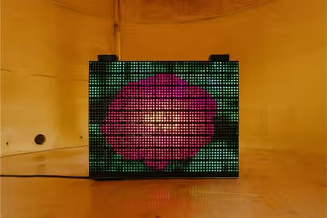 Digital Art Curatorial Projects