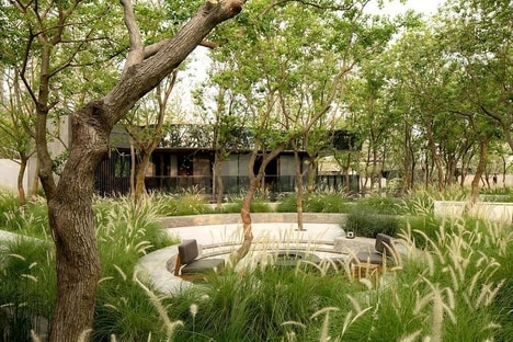 Lush Landscaping Projects