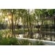 Lush Landscaping Projects Image 2