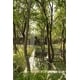 Lush Landscaping Projects Image 3