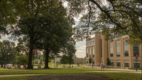 University Startup Pipelines