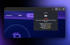 Website Security Extensions