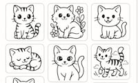 Pet Creative Tools Image 1