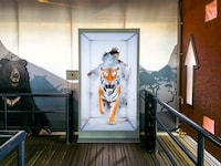 Immersive Queue Displays Image 1