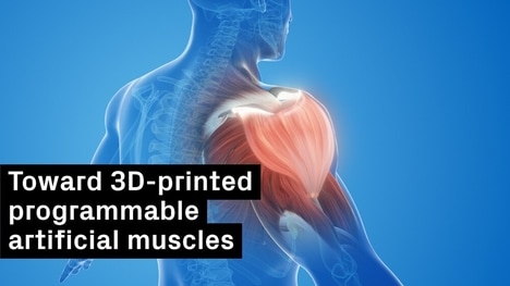 Artificial Muscle Materials