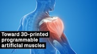 Artificial Muscle Materials