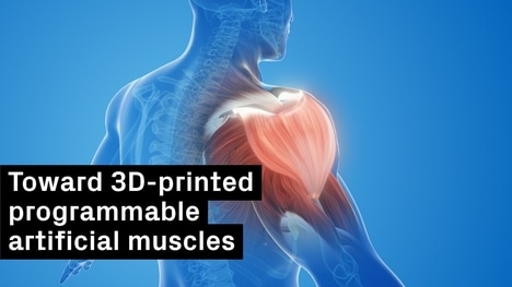 Artificial Muscle Materials