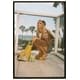 Millennium Era Beachwear Collections Image 8