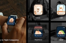 Day-to-Night Companion Apps