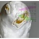 Mycelium-Inspired Engineered Living Materials Image 1