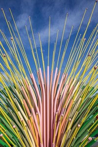 Ultra-Colorful Kinetic Installations Image 2