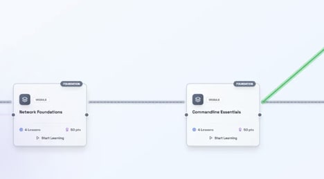 Cybersecurity Learning Platforms
