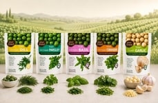 Flash-Frozen Herb Spheres