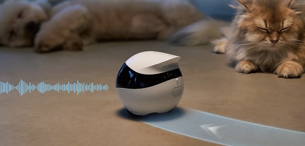 Family Companion Robots