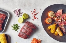 Fanciful Foodservice Meat Ranges