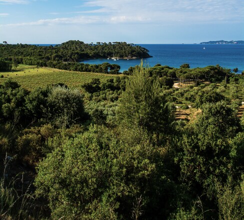 Organic Estate Sustainability Practices