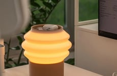 Desk Storage Lamps