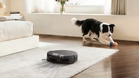 Stain Pretreatment Robotic Cleaners Image 3