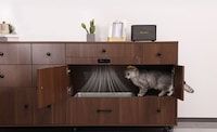 Intelligent Pet Care Furniture Image 5